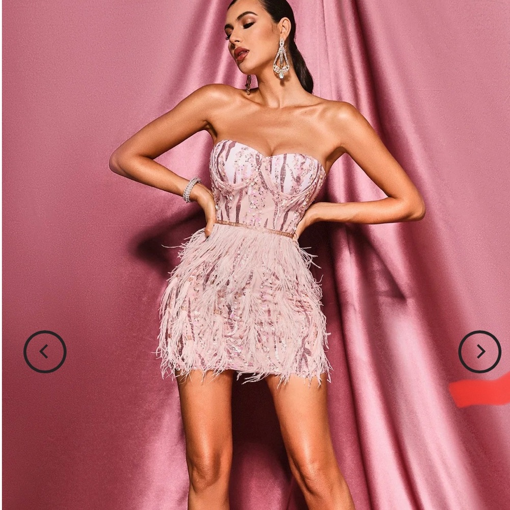 Lalia Pink Sequin Feather Mini Dress